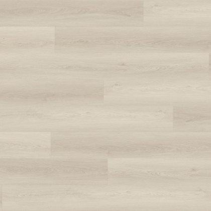 6450-900x900px-1